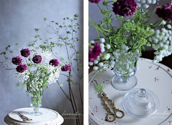 シルヴィ グラスカップ